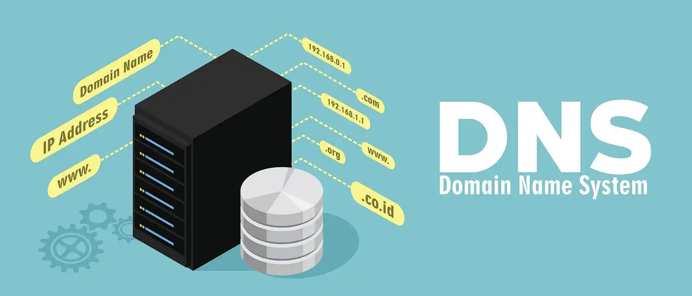 Domain Nameservers